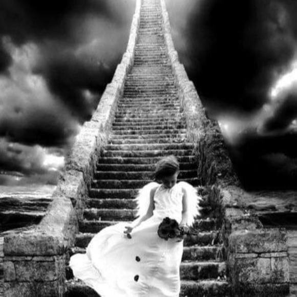 Meet your Posher, Kimberly - Picture 1 of 1